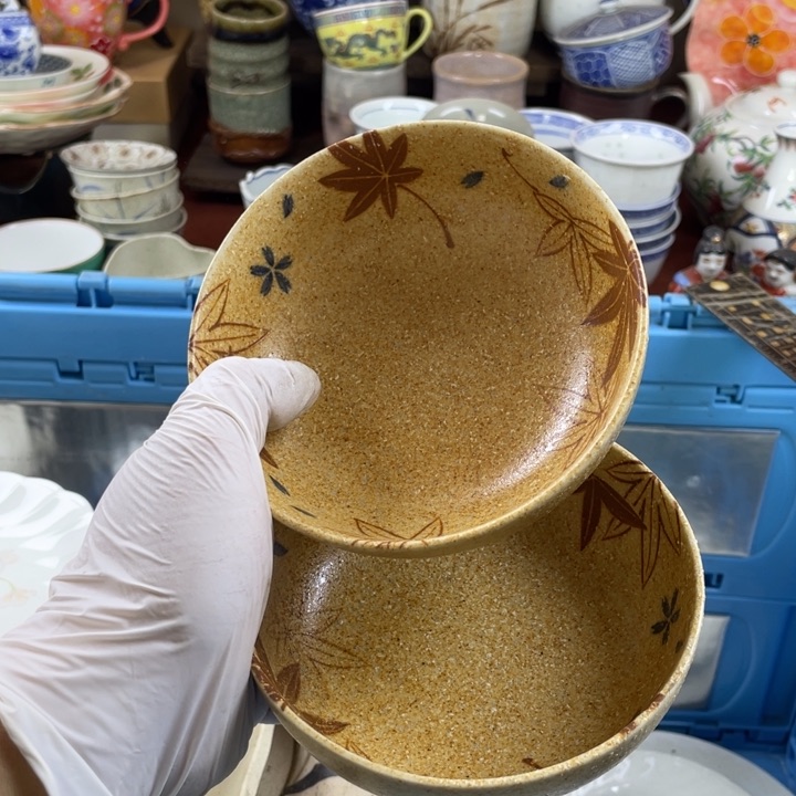 碟开播了开播了开播了