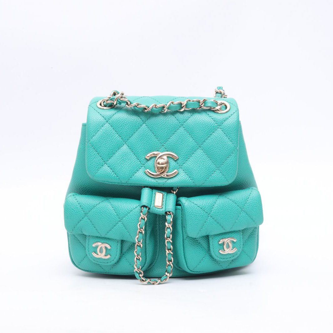 99新 Chanel/香奈儿 小花Jerry 4216078 Duma 双肩包 双口袋 小号