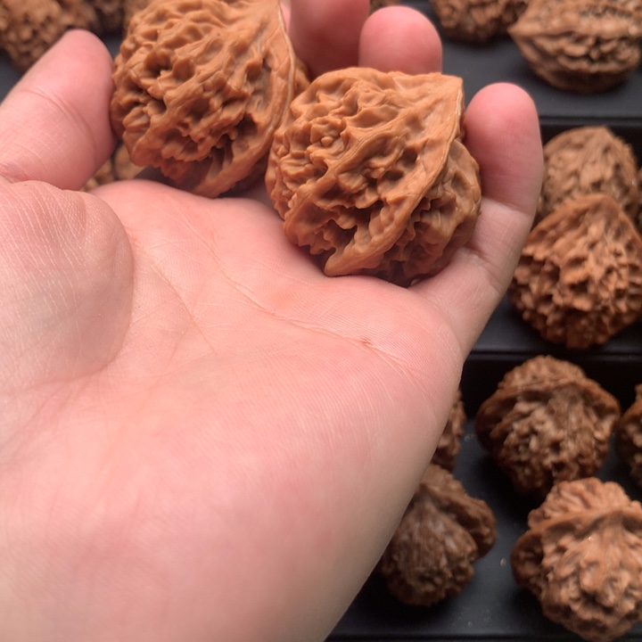 其他核桃T****r秦岭官帽大花