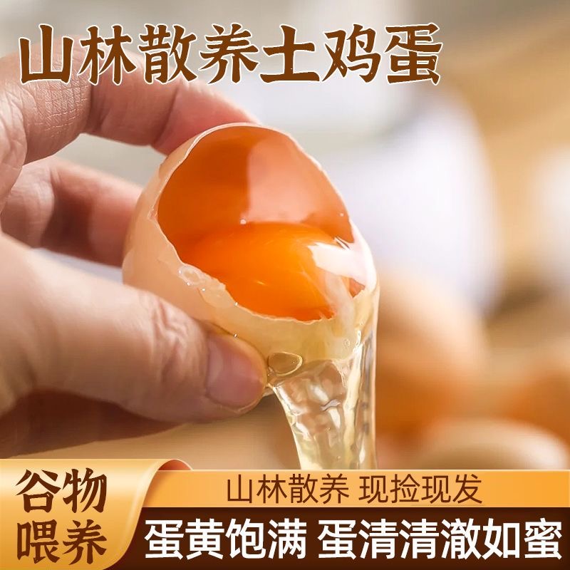 【60枚土鸡蛋】农家散养土鸡蛋  现捡现发破损包赔60枚/2400g 
