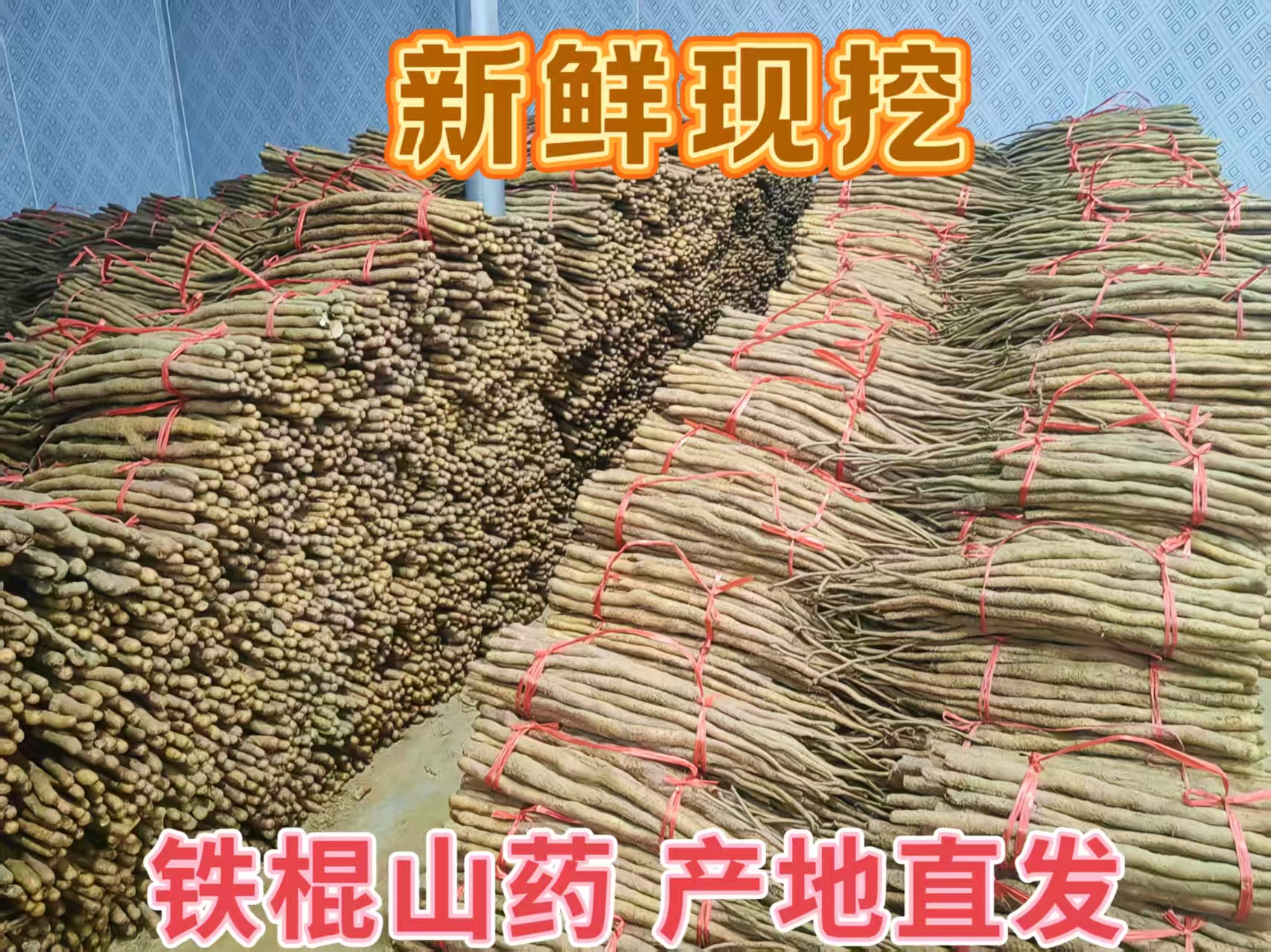 河南焦作垆土地铁棍山药大果软糯香甜铁棍山药种植基地直发