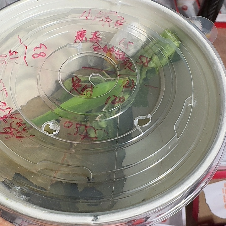 墨***鲲蟋蟀111111111111111