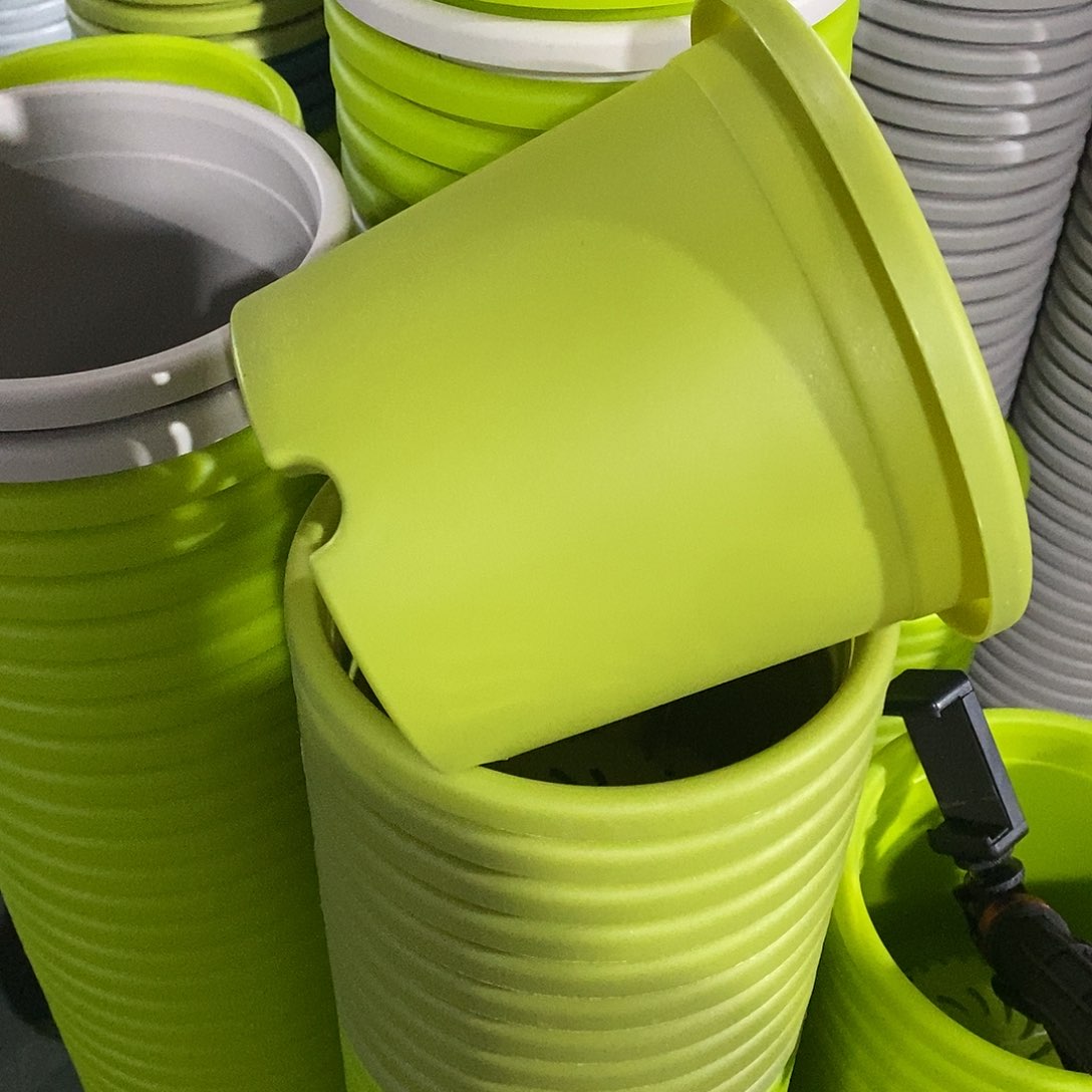 树脂特价2号果绿色13个无拖