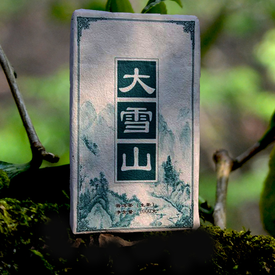 卡那邦大雪山头春古树 古树春茶 生普洱茶砖1000g 普洱生茶2025年