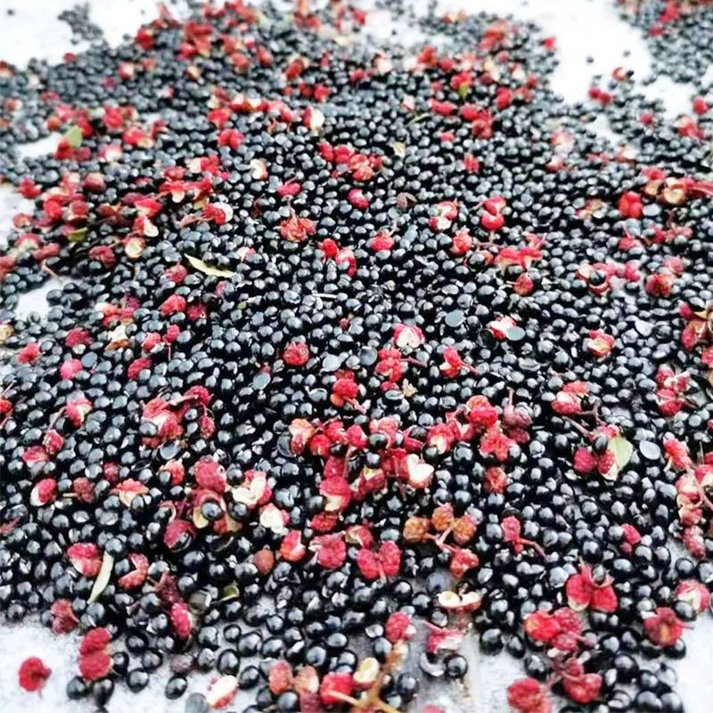 鸽子食用花椒籽麻椒籽泡脚育苗新货散装