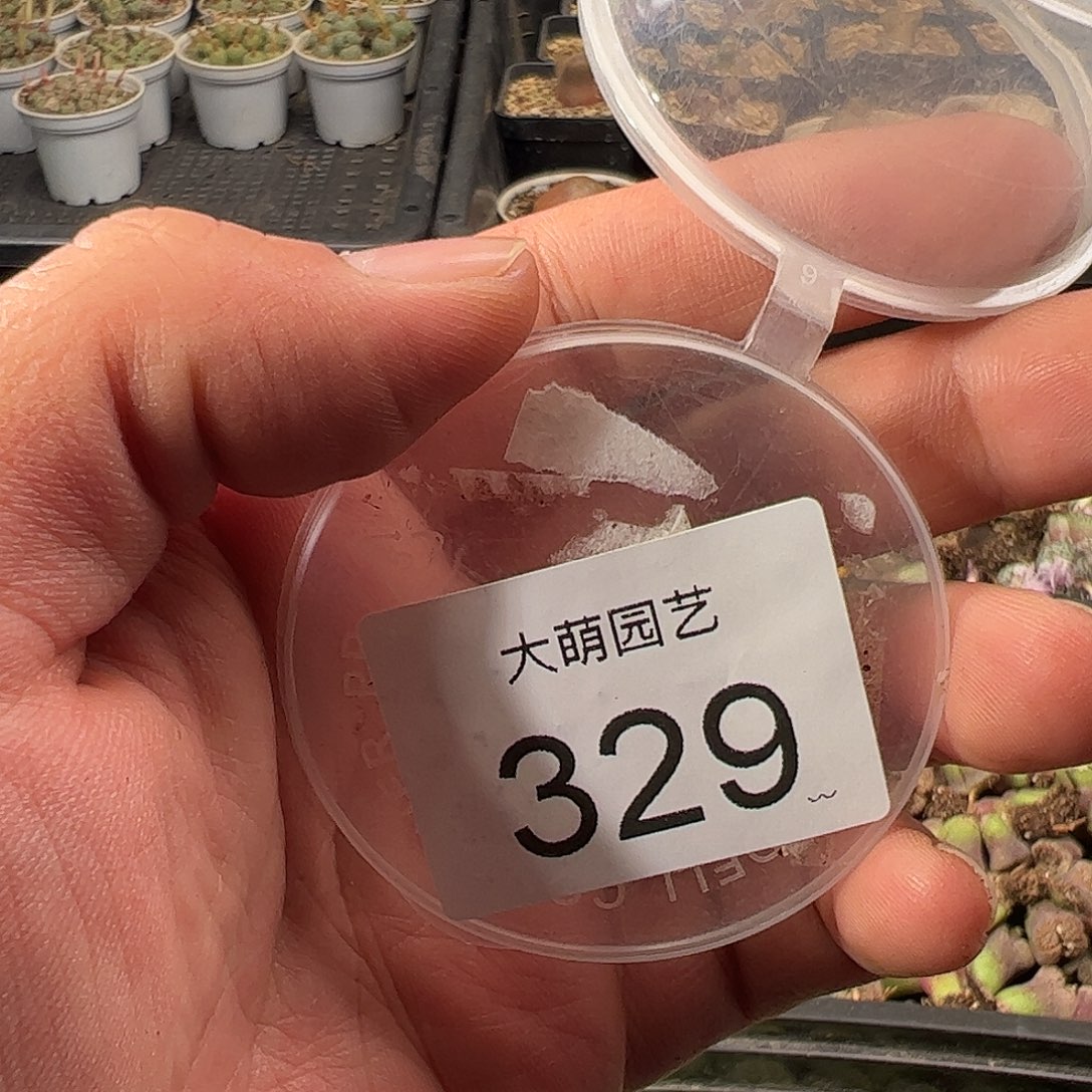 好****一物一拍。      329