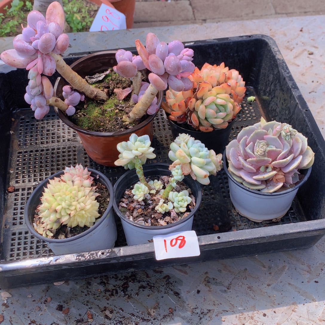 一单包邮框拍00108