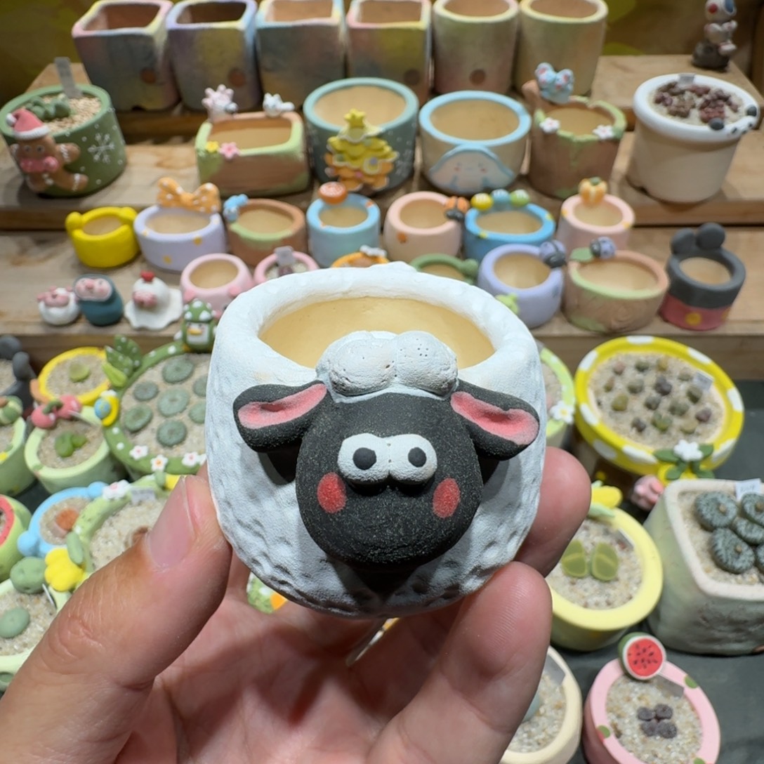 小***梨蘑菇1535花盆花盆花盆