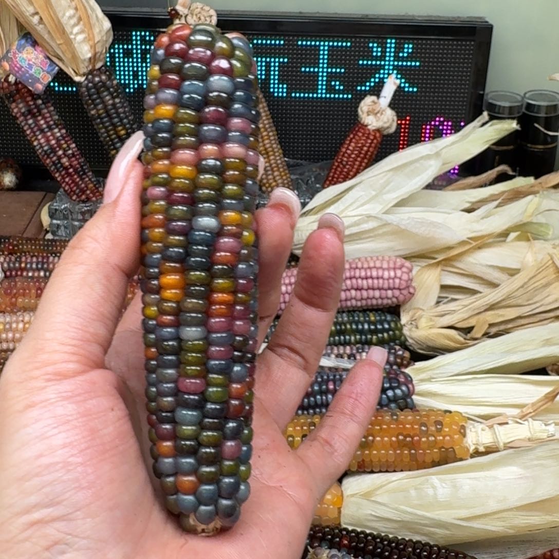 柏香籽/百香籽吊坠夏**天