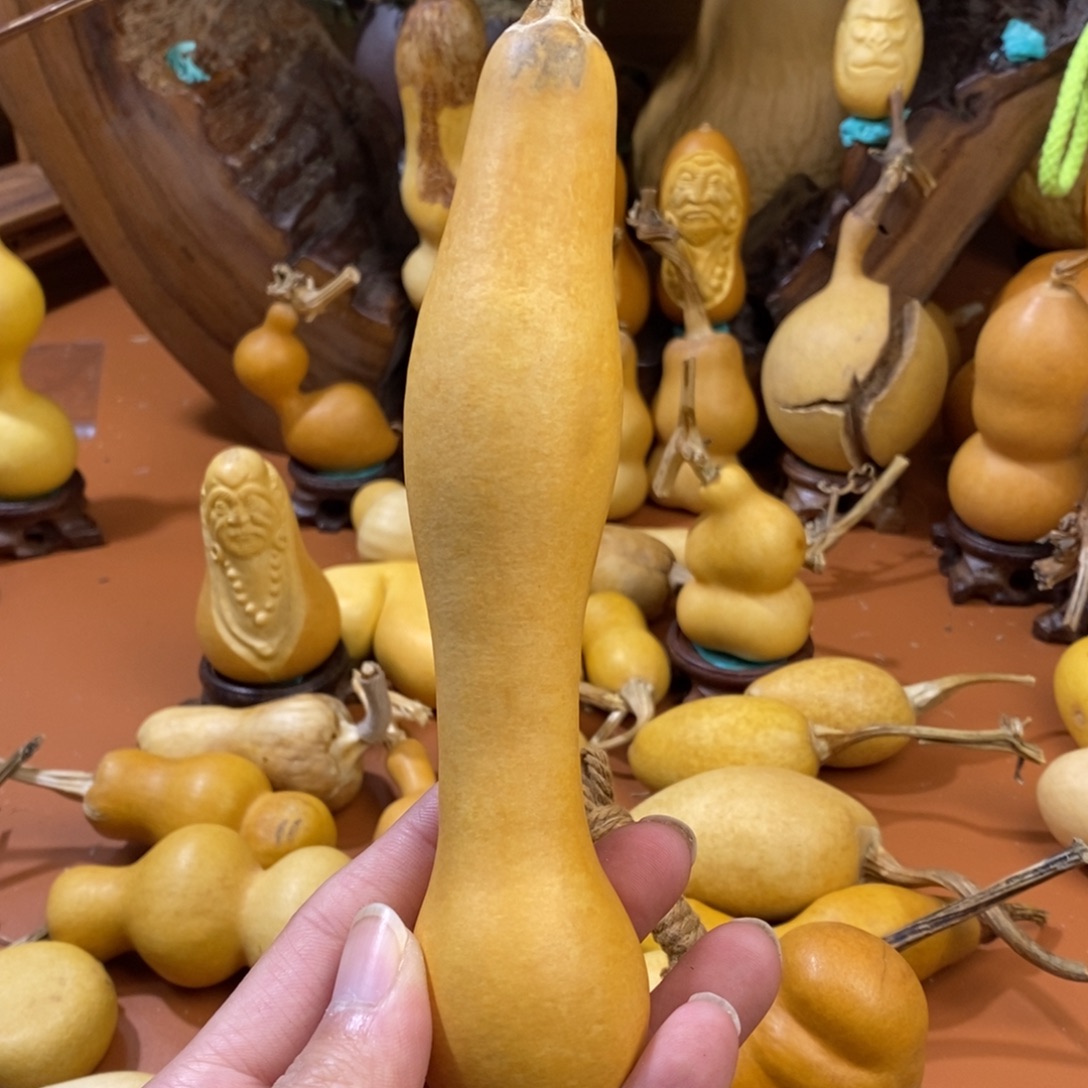 富***艺教练咯教练咯教练咯