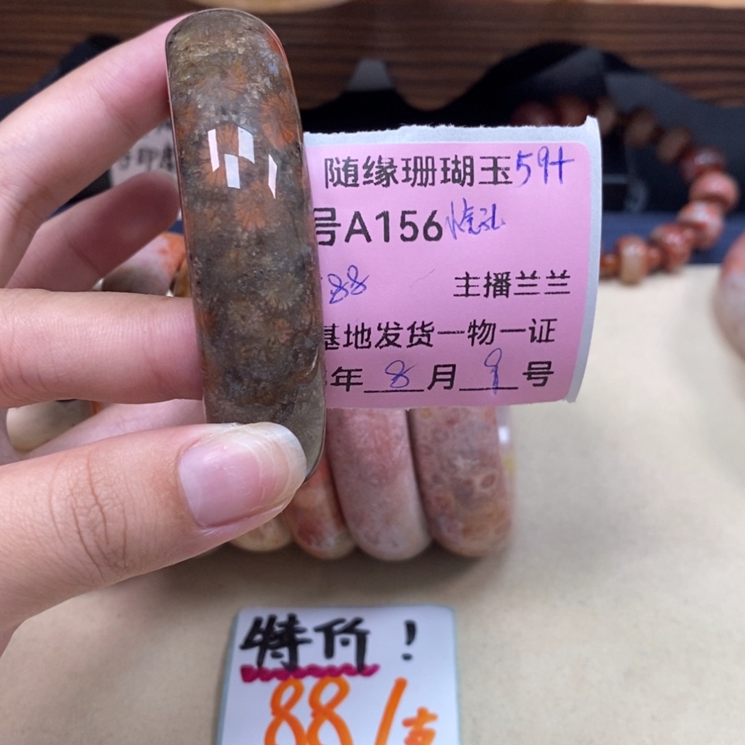 硅化珊瑚（珊瑚玉）A156未镶嵌ℳ****
