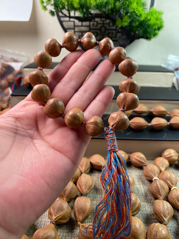 橄榄核1.7异性核原皮