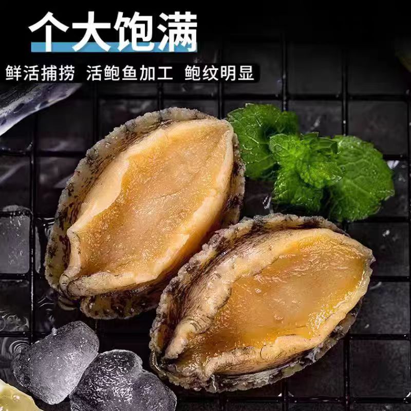 50头大鲍鱼肉500克活冻每只5cm左右速冻锁鲜鲍鱼海鲜