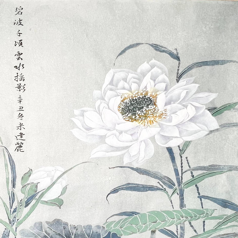 没骨荷花系列课程——云水摇影（内含两幅荷花）