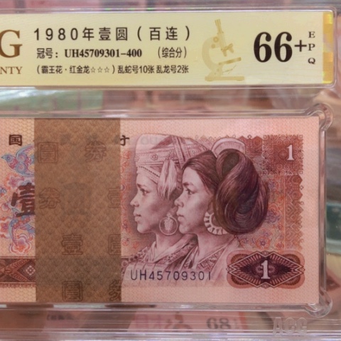 塑料45709301红金龙——————-