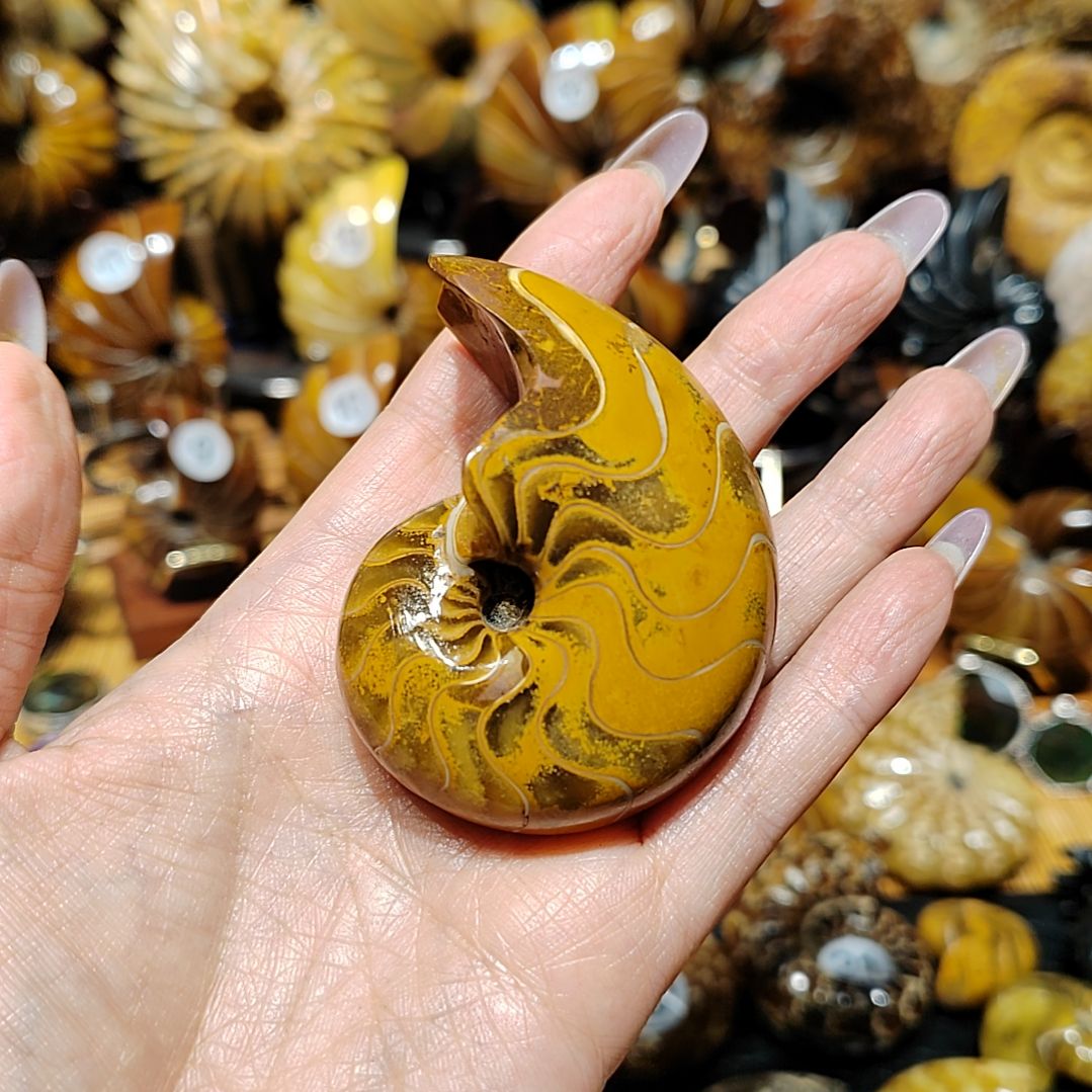 阿****有机玻璃123456789