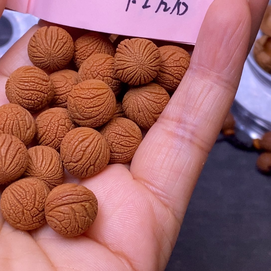 秦岭龙纹桃核20颗