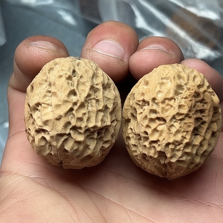 把件文玩核桃88号麒麟绣球40尺