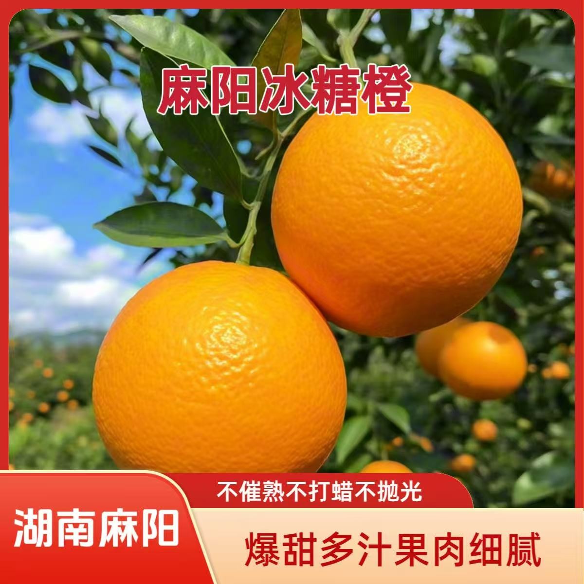 湖南怀化麻阳冰糖橙新鲜当季水果产地直发手剥爆甜多汁