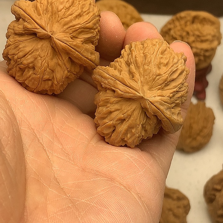 文玩核桃吊坠37 42 白狮子