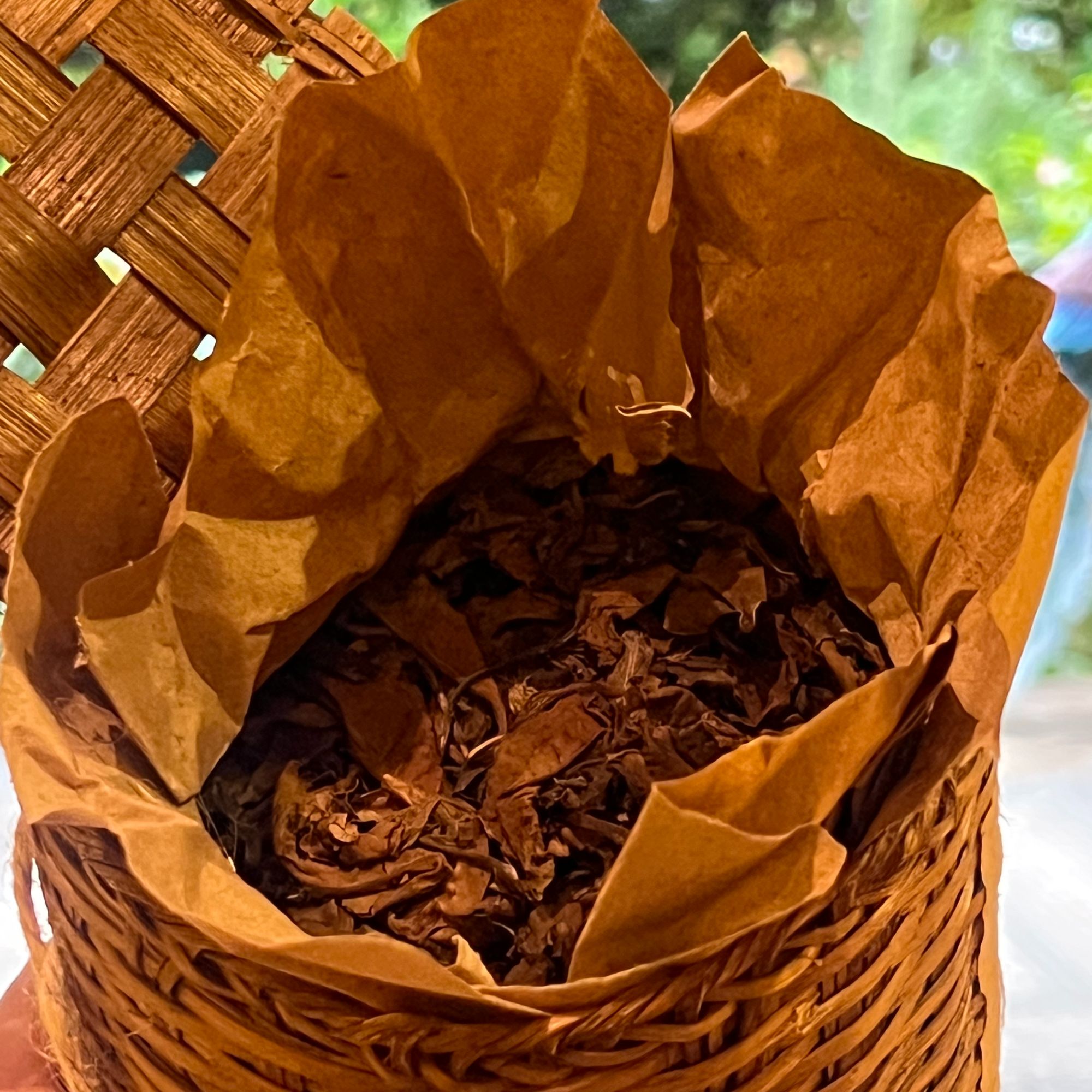 凤凰窝老白茶 云南古树白茶（散茶）