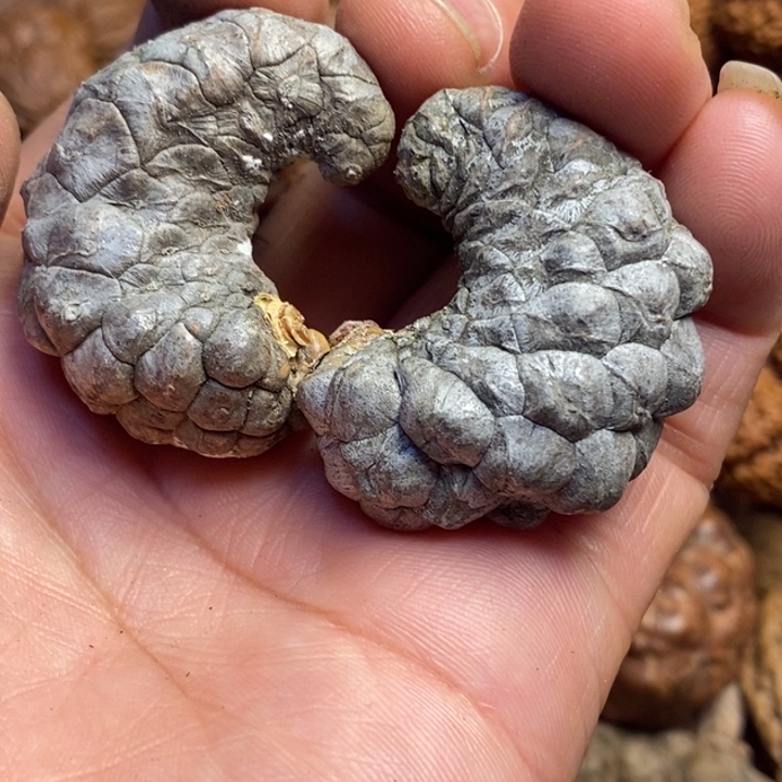 吊坠桃核东北特产212