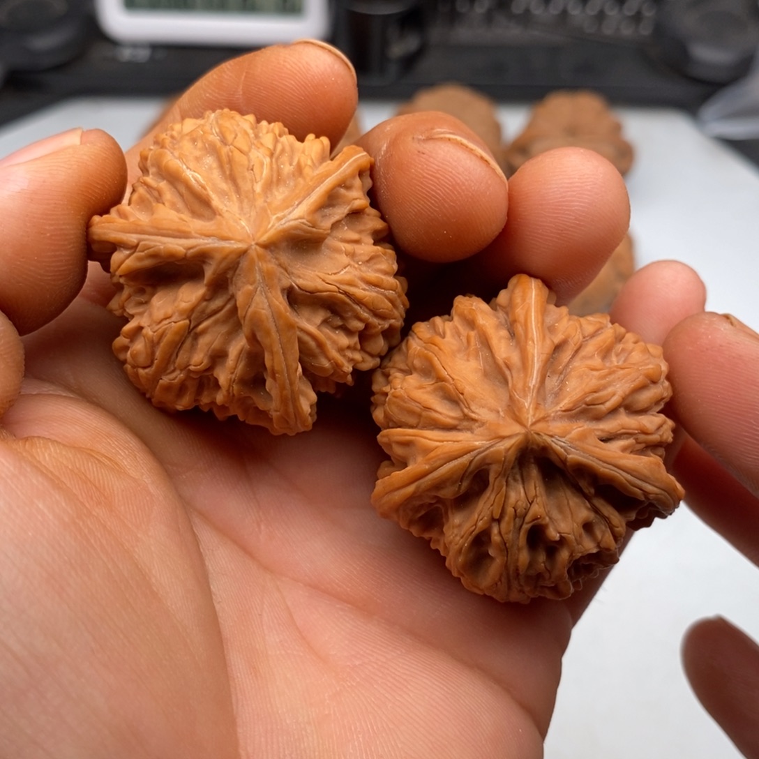 黄***毛文玩核桃把件40玉龙粗筋三棱