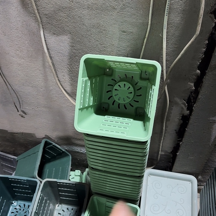 编号103果绿无托10个