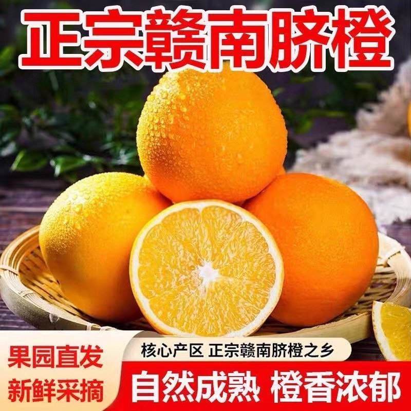 【赣州直发】现摘正宗赣南脐橙新鲜当季水果产地直发香甜爆汁
