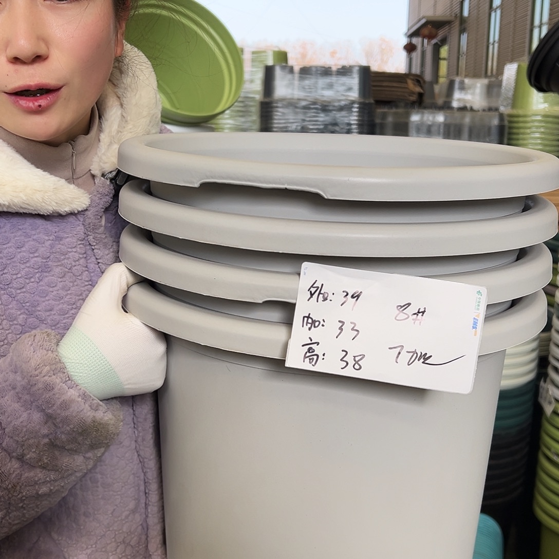 瑕疵四季盆8#灰白5个无托