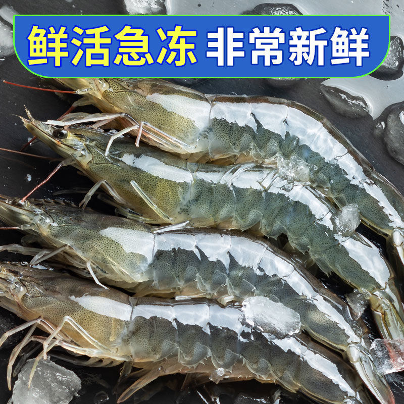新鲜海捕速冻大大号虾 一斤10-15只大大号虾 冷链直发