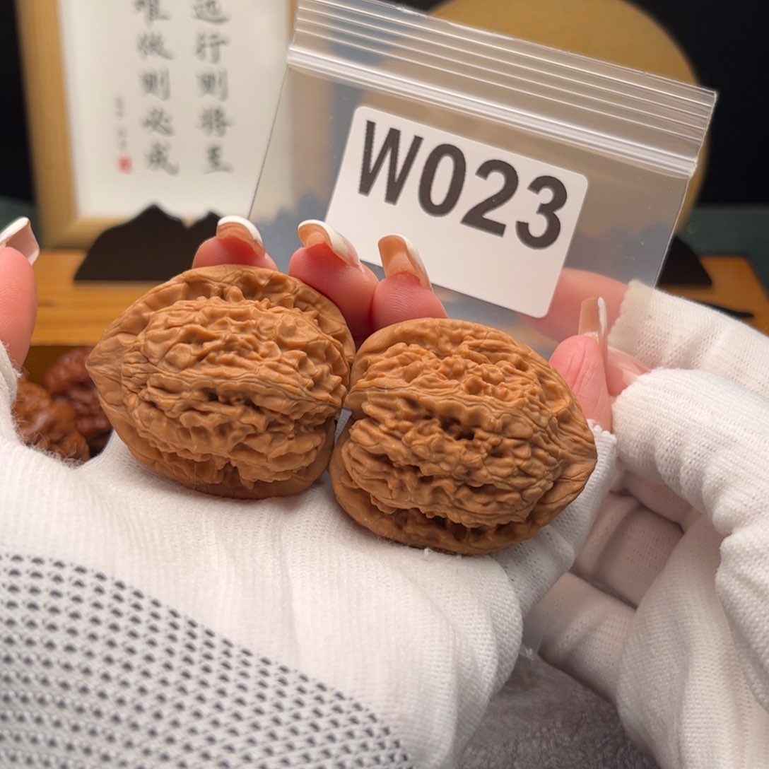 文玩核桃把件39蚂蚁王w 023