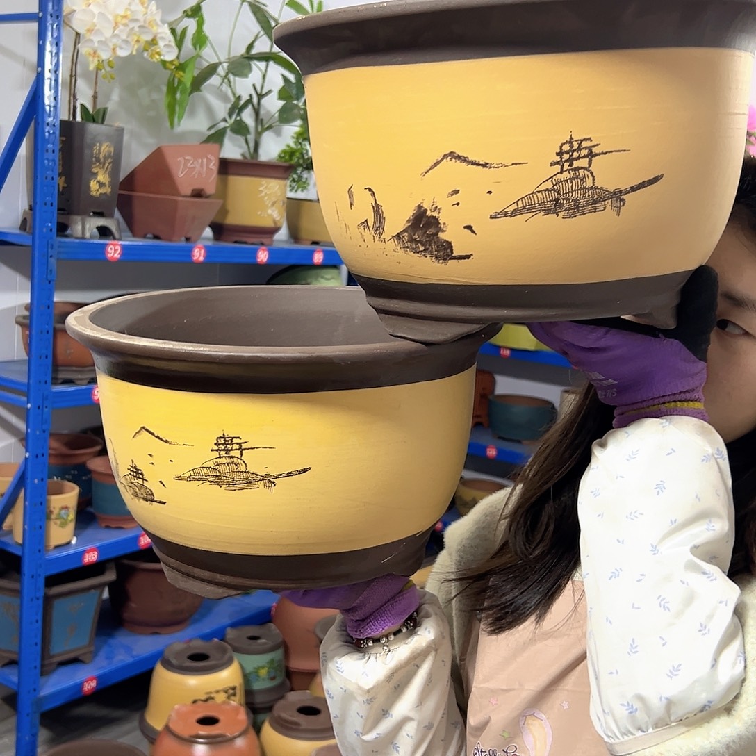 002花盆花盆花盆花盆花盆×2