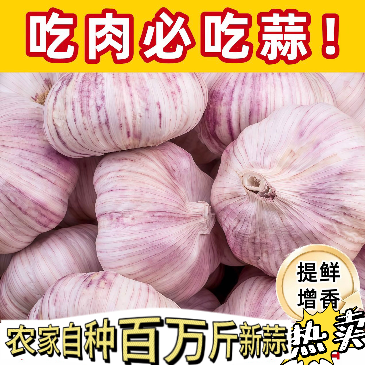 新农家干蒜山东原产地紫白皮带毛胡可当蒜种能发芽能放两个月