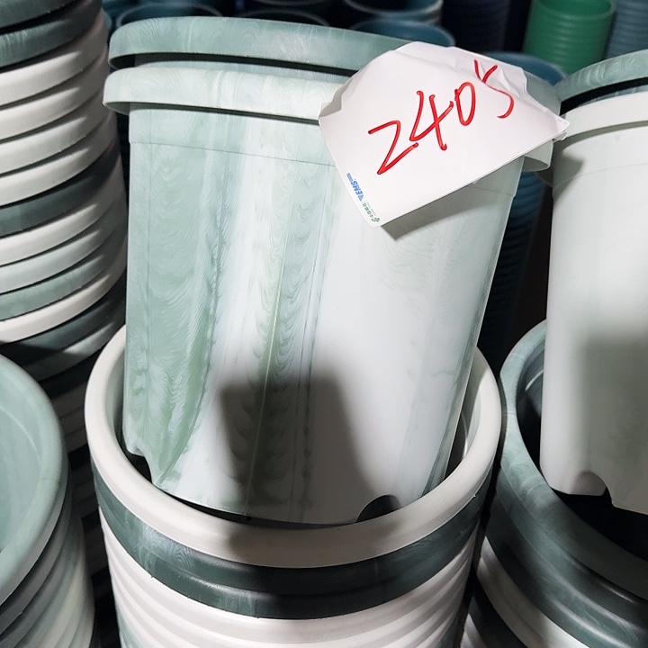 串色5#随机6个无托