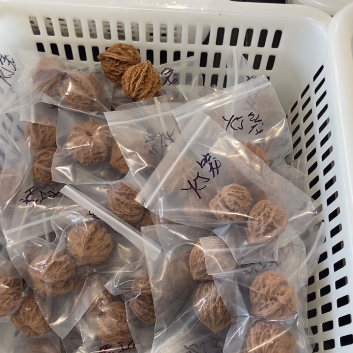 吊坠文玩核桃灯笼瑕疵