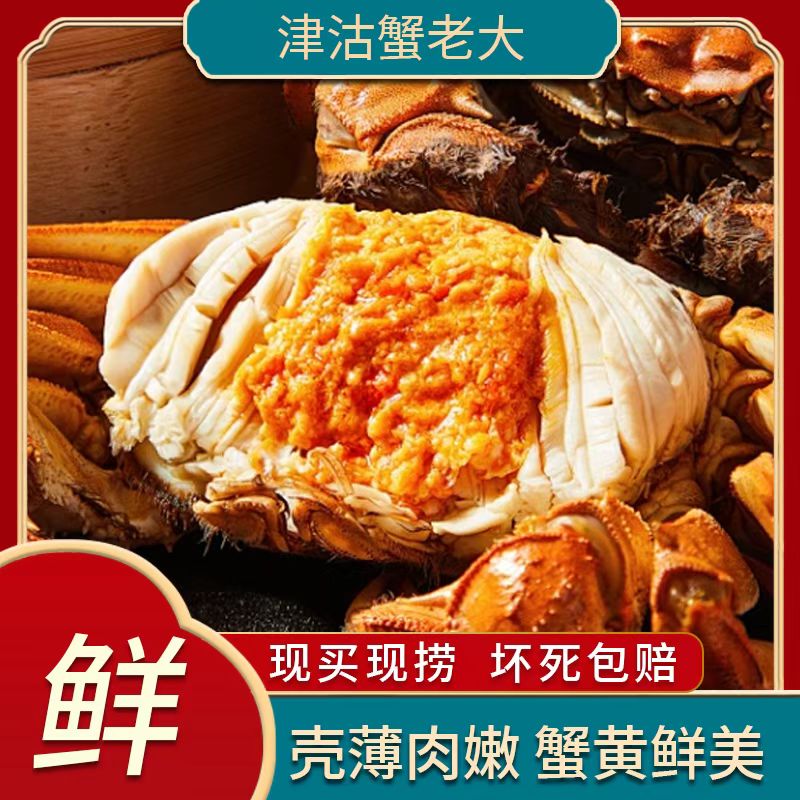 【活蟹】元旦专拍 元旦当日发 金标大闸蟹 公蟹4两/只  母蟹3两/只 
