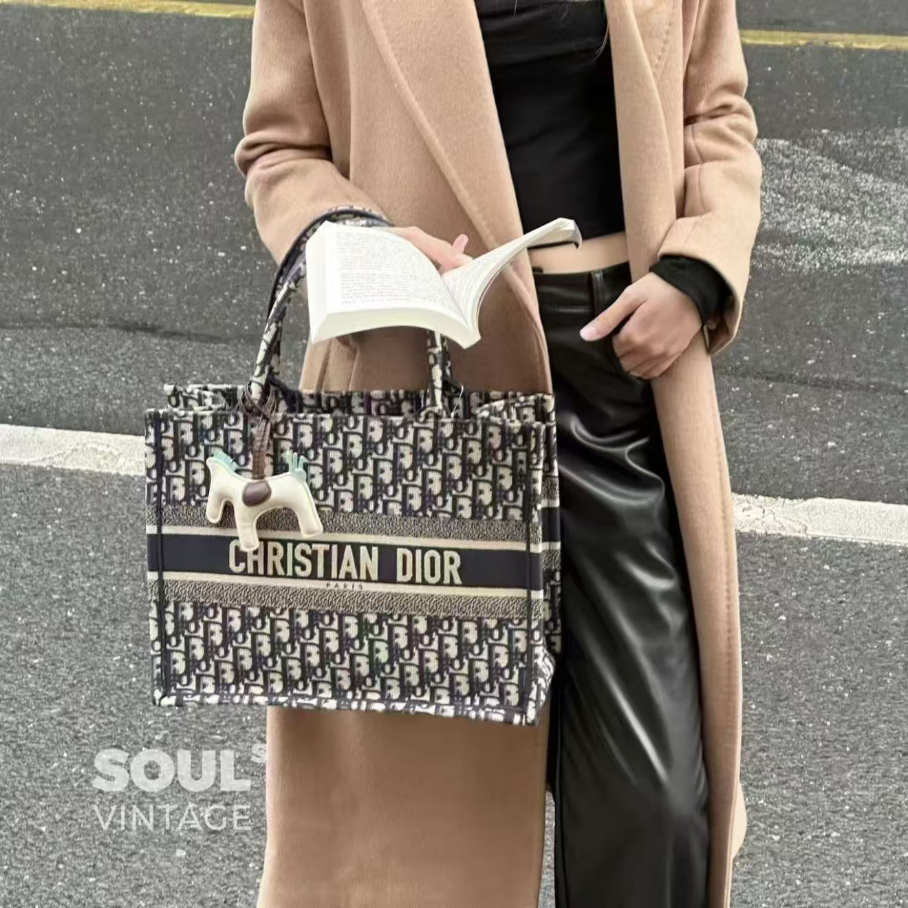 95新 DIOR/迪奥 Dior 蓝老花 刺绣帆布 booktote中号/613043532