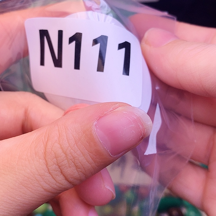 时尚饰品首饰配件湖北发货