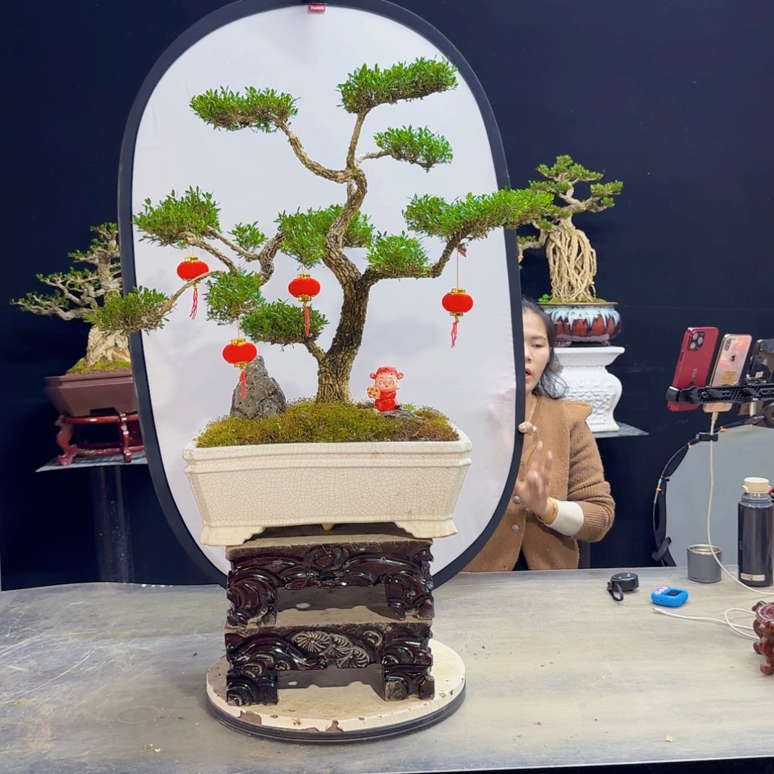 高端盆景艺术作品