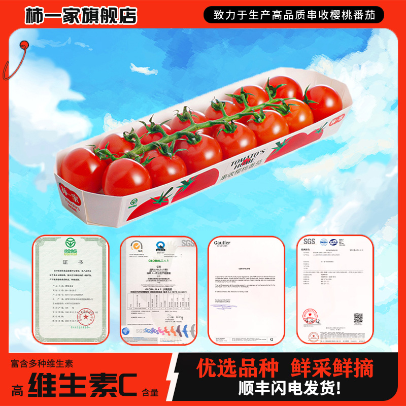 【柿一家】精选串收番茄自然成熟198g/盒新鲜采摘水果番茄顺丰发货