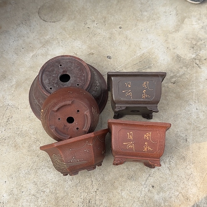 花盆紫砂这是我的