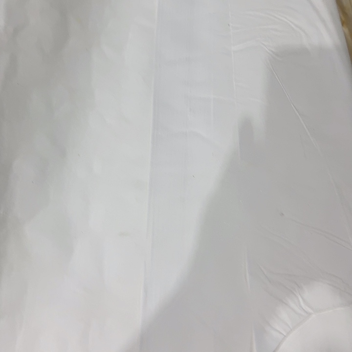 处理四尺冰梅一刀49张