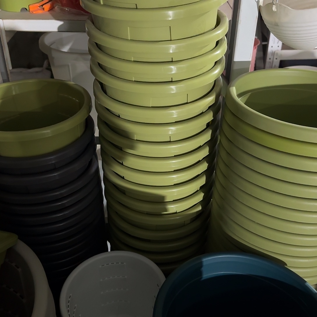 树脂测2号10个无托，果绿