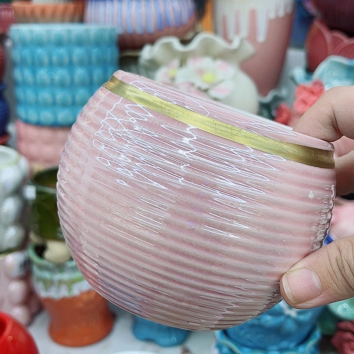 多肉植物陶瓷花盆