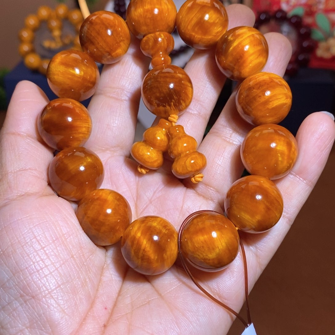 贝壳杉帝王血龙木1.8闪电高货就一条