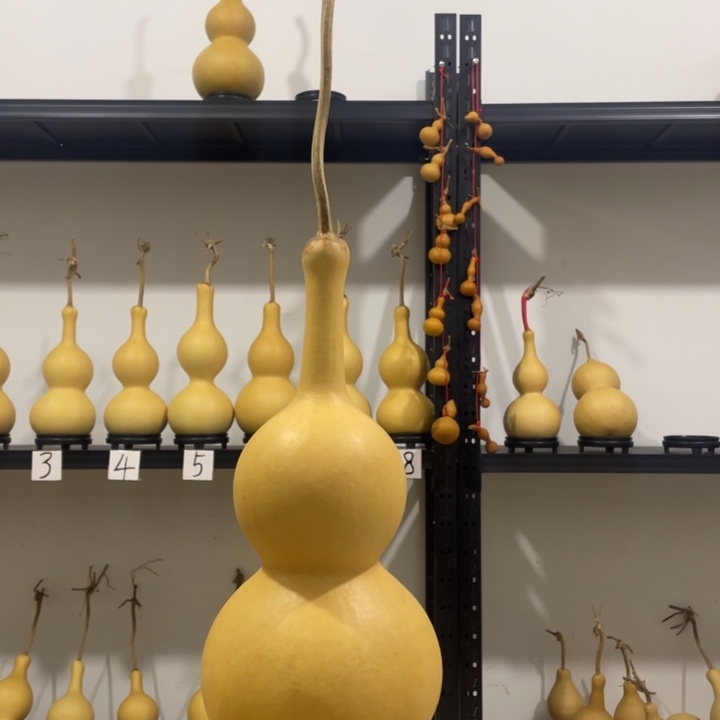 c***i长嘴46肚大八宝葫芦