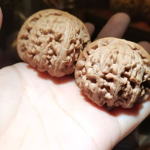 猴头核桃吊坠43白狮子