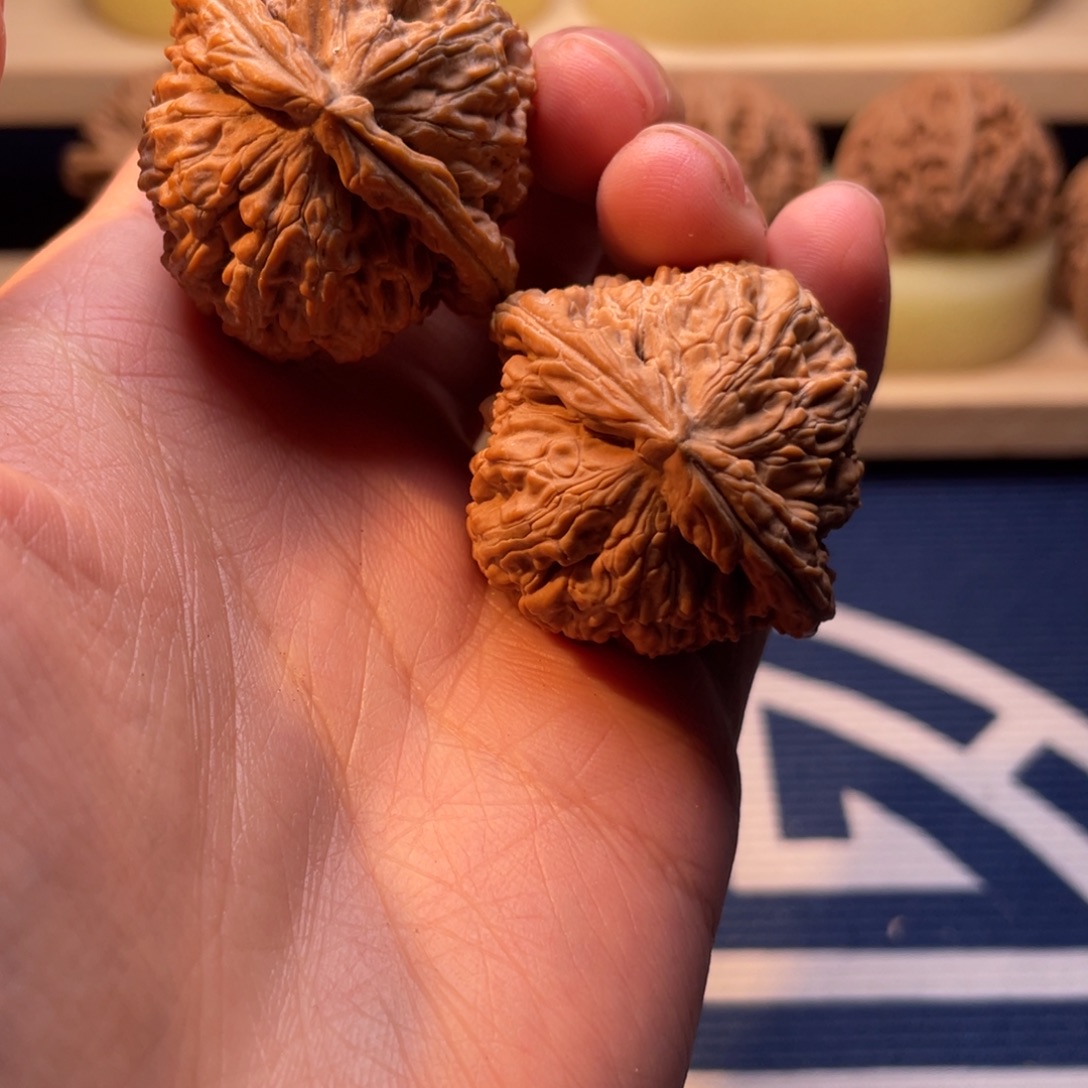 文玩核桃37球白尺