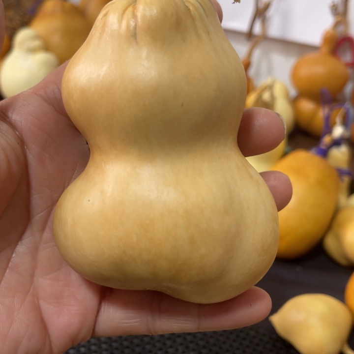 六***顺葫芦哈哈哈哈哈哈哈哈